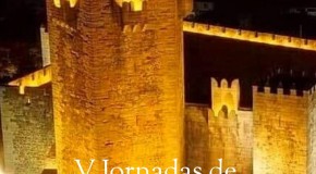 V JORNADAS DE HISTORIA Y CULTURA EN NAVASFRIAS